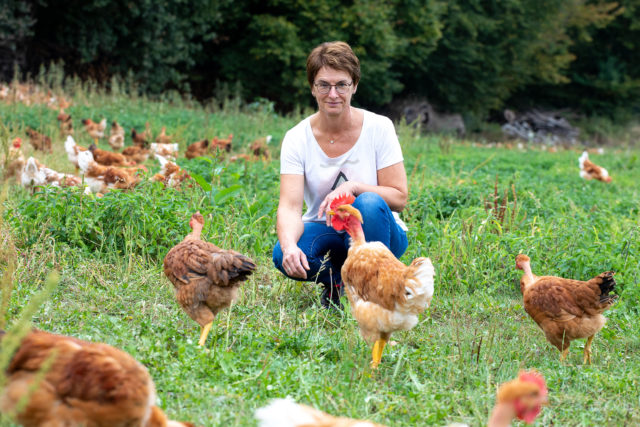 Eleveuse-poulet